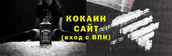 молекула духа Алексин