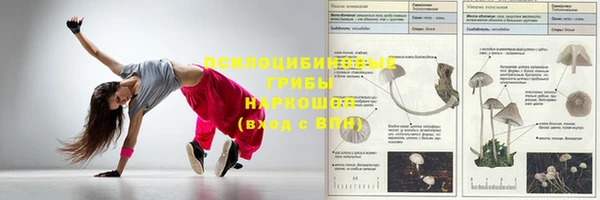 эйфоретик Абаза